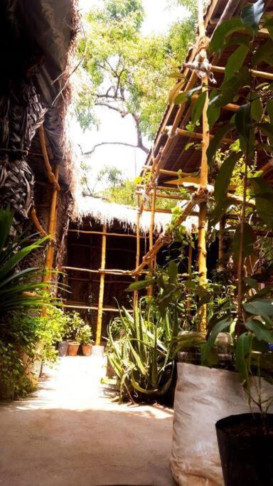 The Vintage House Villa Maisur Dış mekan fotoğraf
